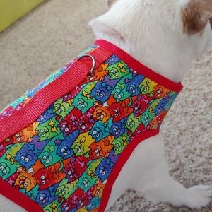 🙌 Quilted dog harness